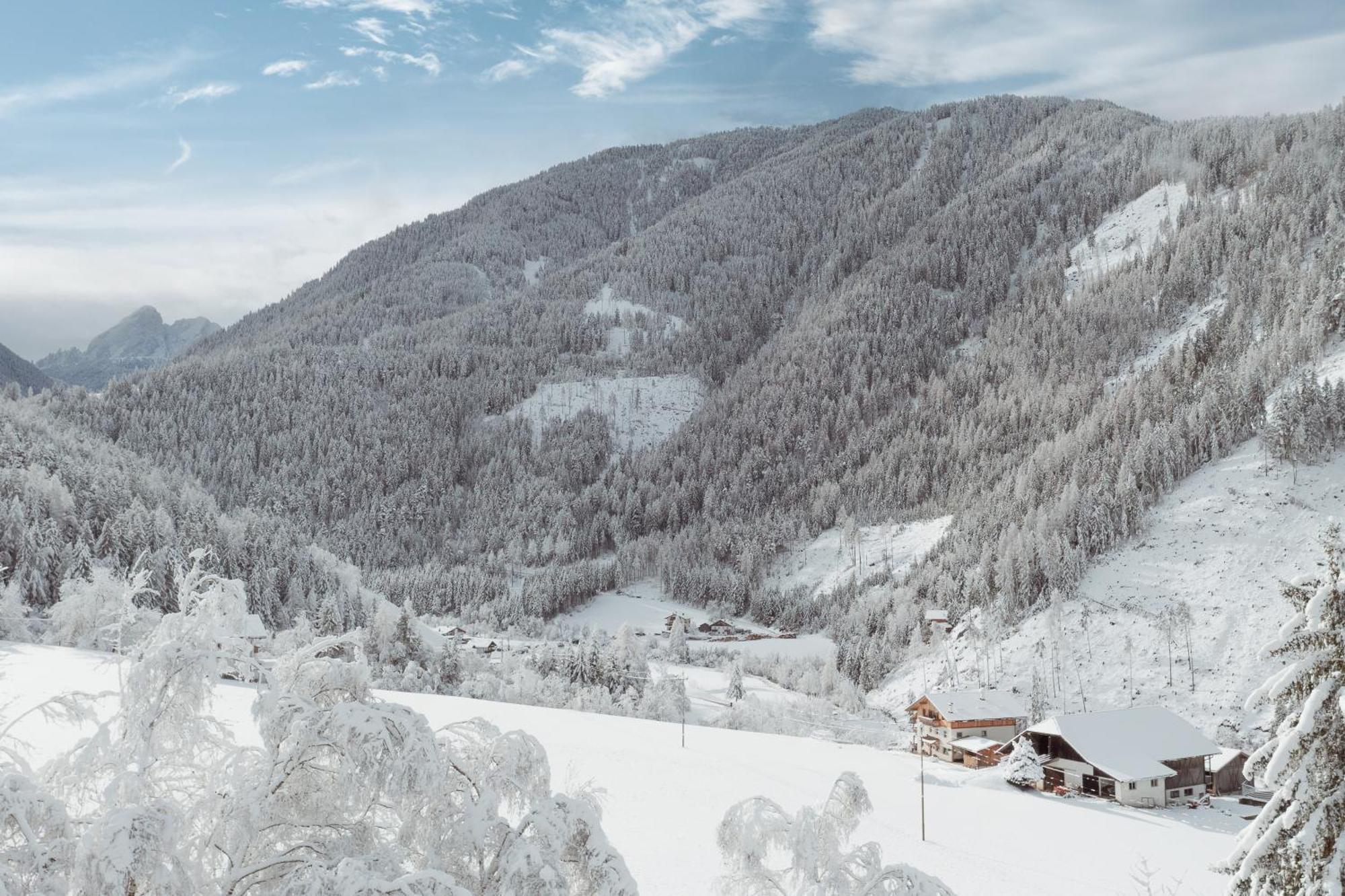 Grosskarnaiderhof Appartements-Bauernhof-Natur Pur Luson Buitenkant foto