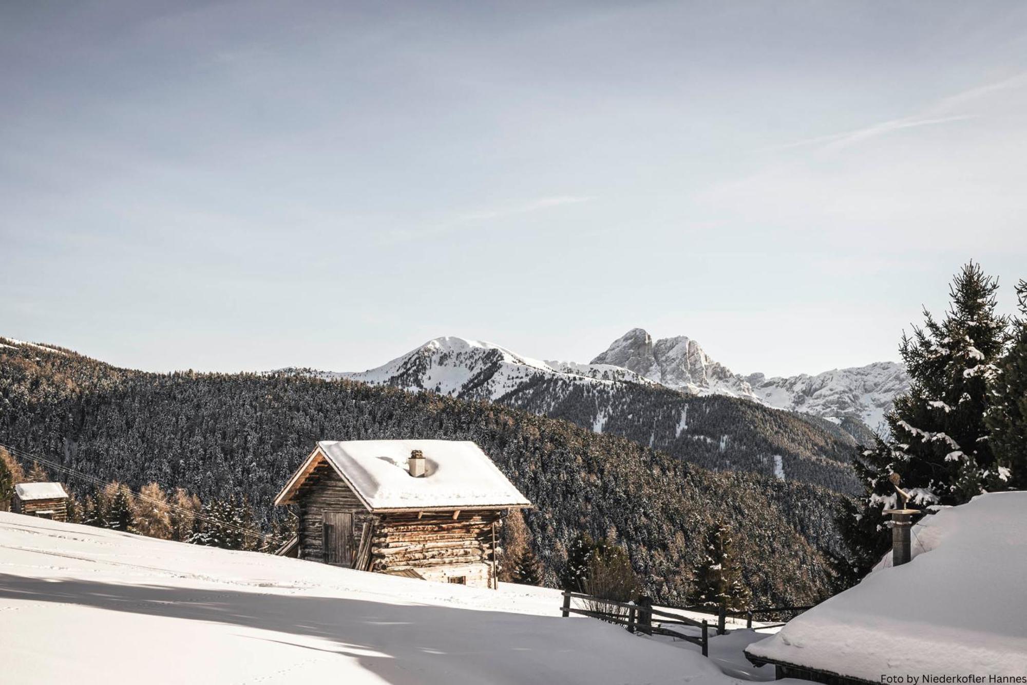 Grosskarnaiderhof Appartements-Bauernhof-Natur Pur Luson Buitenkant foto